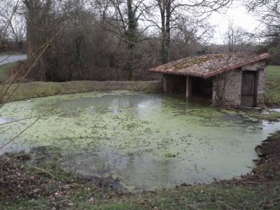 lavoir 1