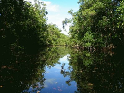 Delta del Orinoco. Venezuela