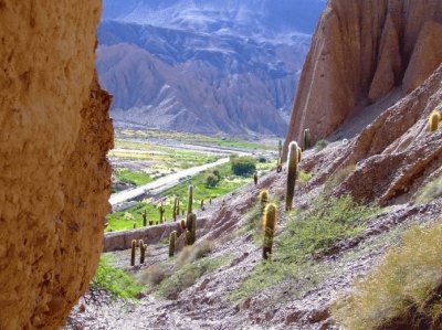 Cerca de Ingeniero Maury. Salta. Argentina