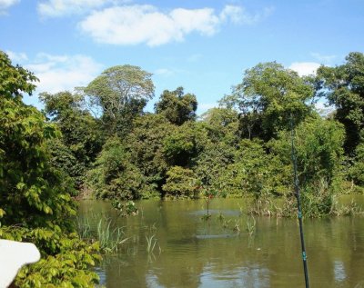 En la Provincia de Corrientes. Argentina