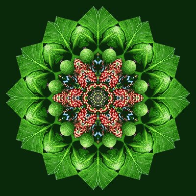 mandala