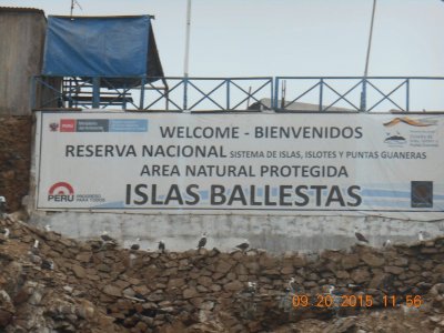 Ilhas Ballestas - Peru