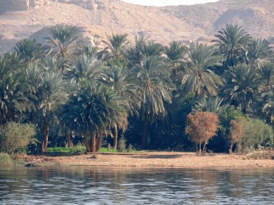 RÃ­o Nilo. Egipto