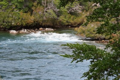 PN Los Alerces. Provincia de Chubut. Argentina