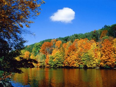 Autumn Lake