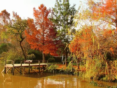 En el Delta. Buenos Aires. Argentina