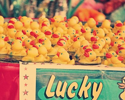 Lucky Ducks