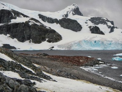 En la AntÃ¡rtida Argentina