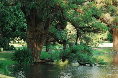 En Estancia La Paz. CÃ³rdoba. Argentina