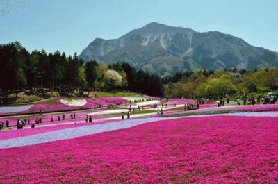 as  belesas  do  japÃ£o