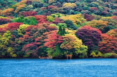 as  belesas  do  japÃ£o