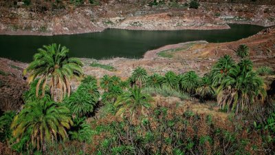 Barranco de Soria. Islas Canarias