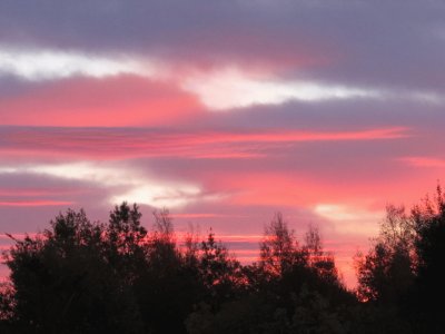 Another colourful sunrise