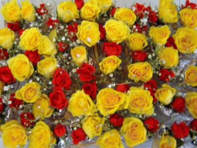 Red and yellow roses