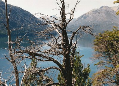 Lago Mascardi. Provincia de RÃ­o Negro. Argentina