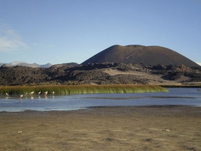 Antofagasta de la Sierra. Catamarca. Argentina