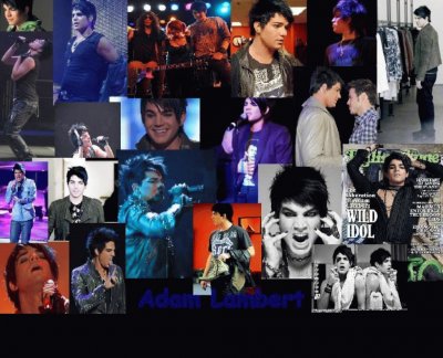 Adam Lambert Wallpaper