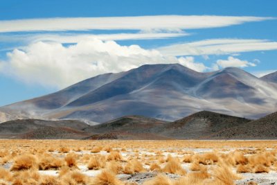 A la vera de la Ruta 60. Catamarca. Argentina