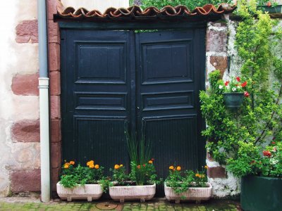 Puerta verde