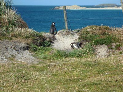 Las Malvinas son ARGENTINAS