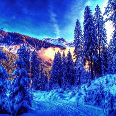 NEVE