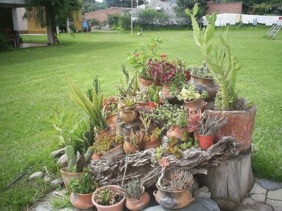 En San Pedro de Colalao. TucumÃ¡n. Argentina