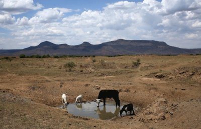 sin agua