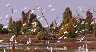 BaÃ±ado La Estrella. Formosa. Argentina