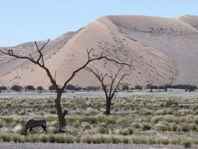 En el Desierto de Namibia