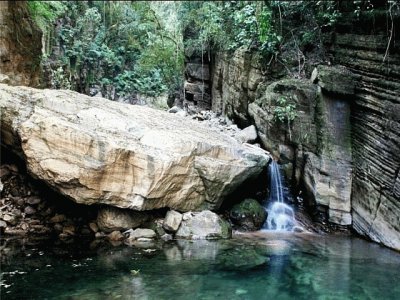 PN Calilegua. Salta. Argentina