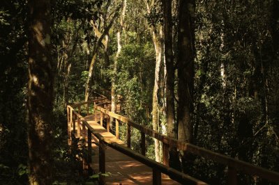 Cerca de los Saltos del MoconÃ¡. Misiones. Argentina