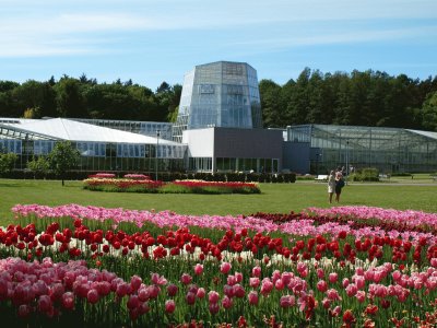 botanic garden