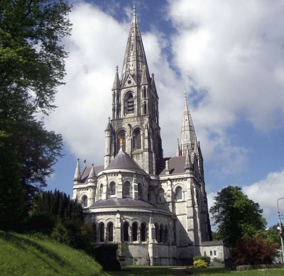 cattedrale san finbar