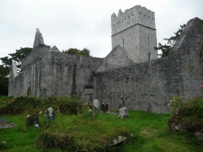 muckross abbey