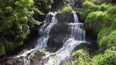 rouken glen park