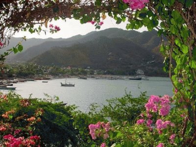 ventana de flores