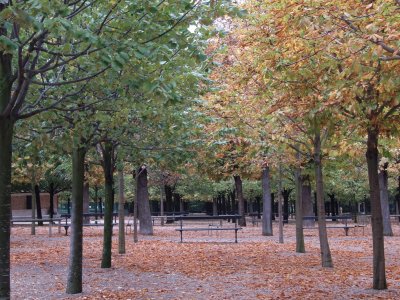 OtoÃ±o en Paris