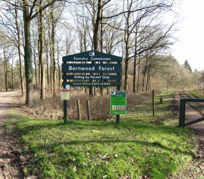 berntwood forest