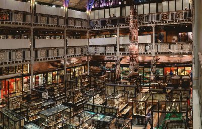 pitt rivers museum