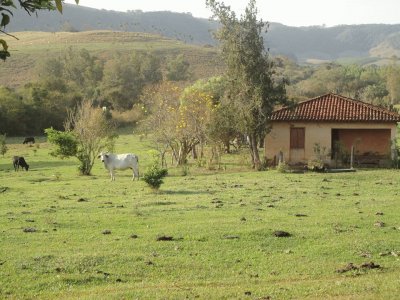 Casa da Escolinha