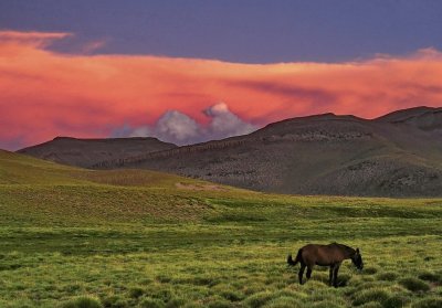 En el sur mendocino. Argentina