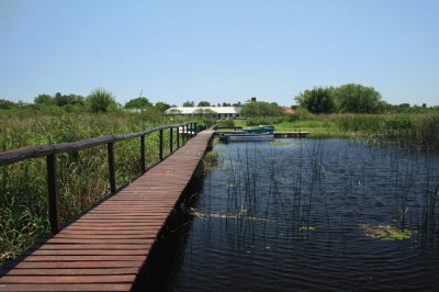 Esteros del IberÃ¡. Corrientes. Argentina