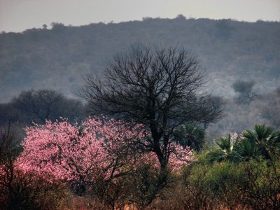 En Santiago del Estero. Argentina