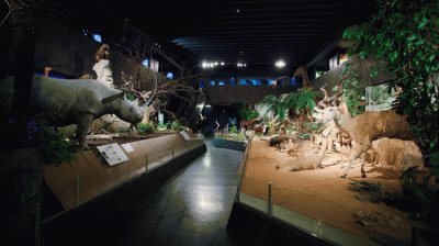 museo scienze naturali