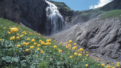 engstligen falls