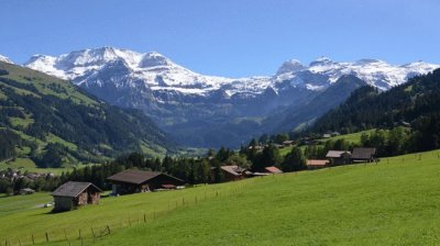 lenk