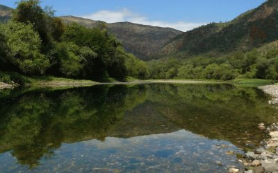 Cerca de Cabra Corral. Salta. Argentina