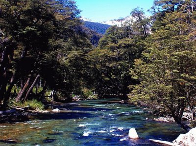 RÃ­o Pichi Traful. NeuquÃ©n. Argentina