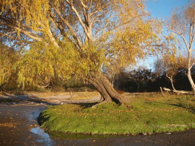 Cerca de Villa Elisa. Buenos Aires. Argentina