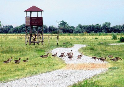 ferto hansag national park